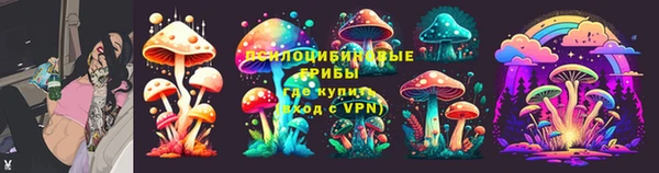 дмт Алексеевка