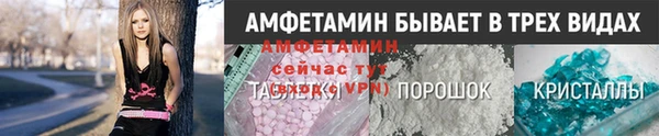 прущие грибы Алзамай