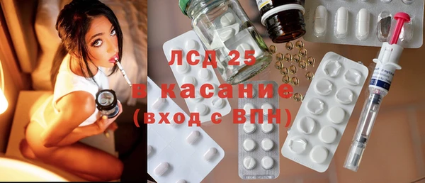 прущие грибы Алзамай