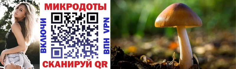 Галлюциногенные грибы Psilocybine cubensis  kraken как зайти  нарко площадка наркотические препараты  закладка  Топки 